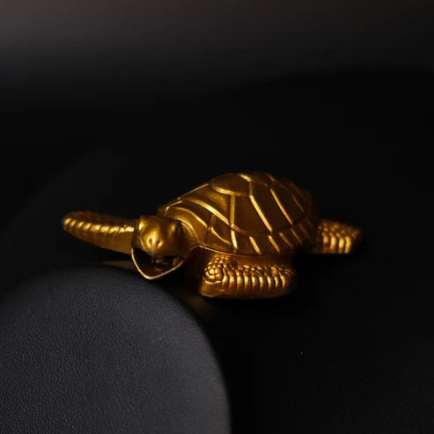 Turtle Lighter
