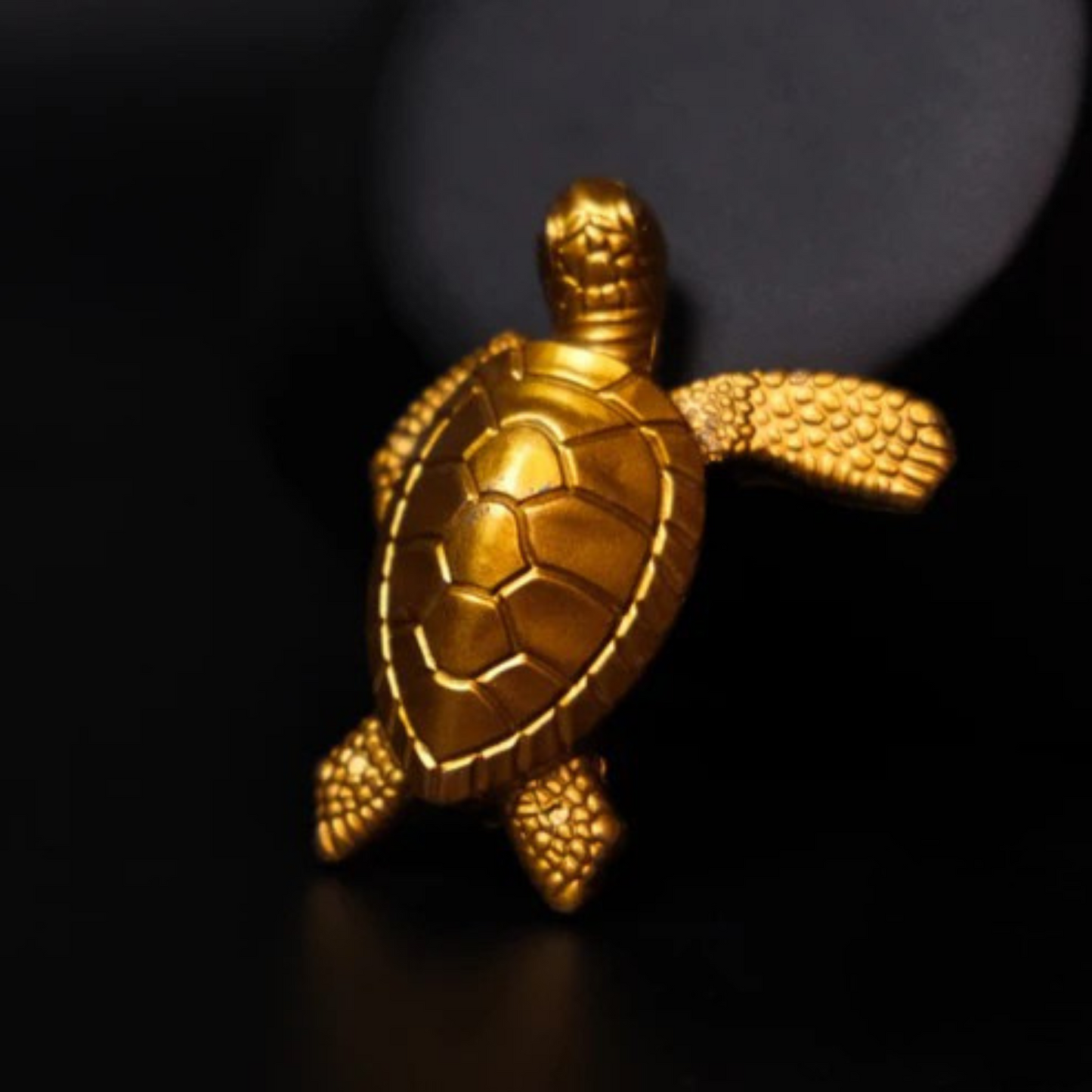 Turtle Lighter