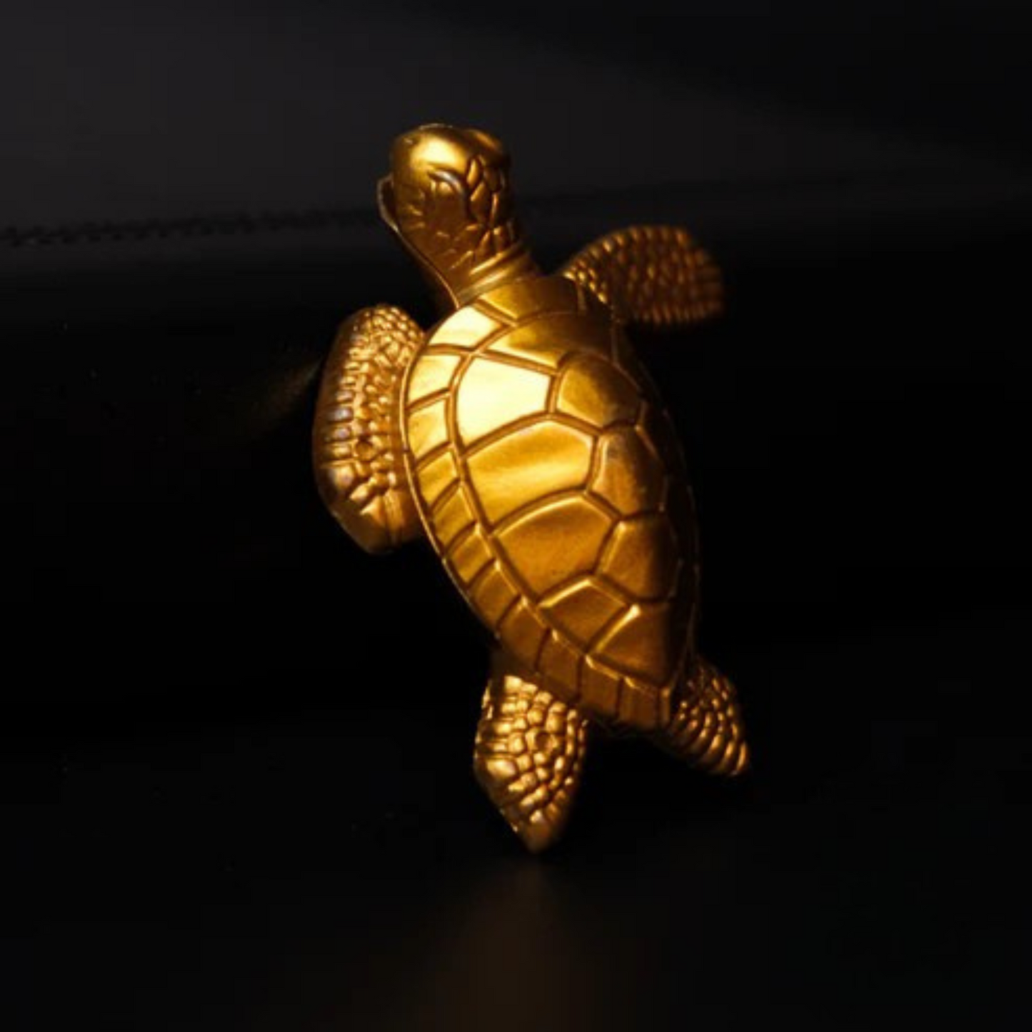 Turtle Lighter